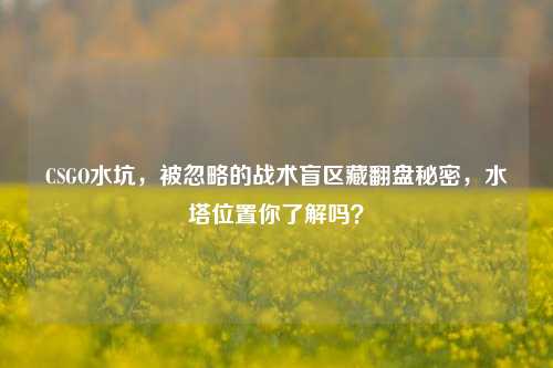CSGO水坑,被忽略的战术盲区藏翻盘秘密,水塔位置你了解吗?