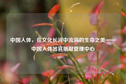 中国人体,在文化长河中流淌的生命之美——中国人体器官捐献管理中心