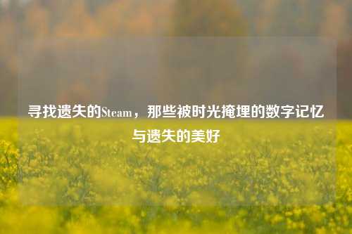 寻找遗失的Steam，那些被时光掩埋的数字记忆与遗失的美好