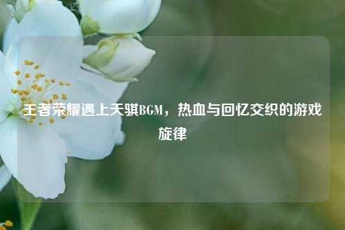 王者荣耀遇上天骐BGM，热血与回忆交织的游戏旋律