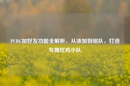 PUBG加好友功能全解析，从添加到组队，打造专属吃鸡小队