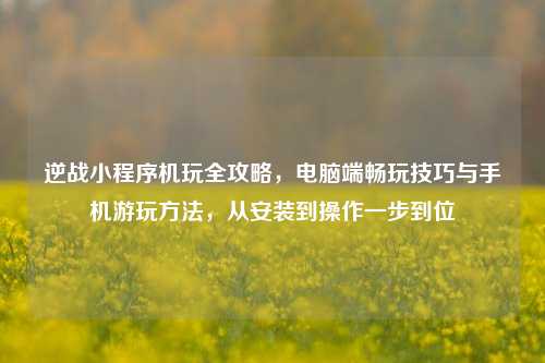 逆战小程序机玩全攻略,电脑端畅玩技巧与手机游玩方法,从安装到操作一步到位