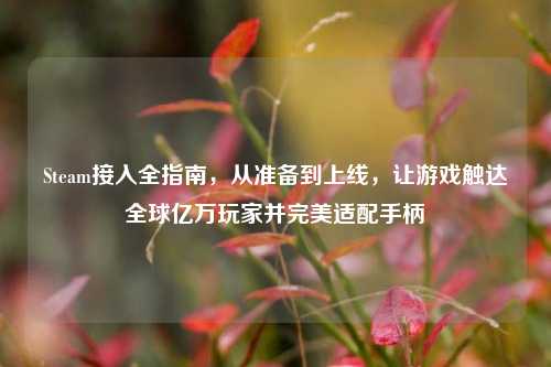 Steam接入全指南,从准备到上线,让游戏触达全球亿万玩家并完美适配手柄