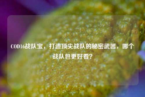 COD16战队宝，打造顶尖战队的秘密武器，哪个战队包更好看？