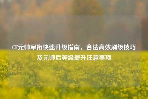 CF元帅军衔快速升级指南，合法高效刷级技巧及元帅后等级提升注意事项