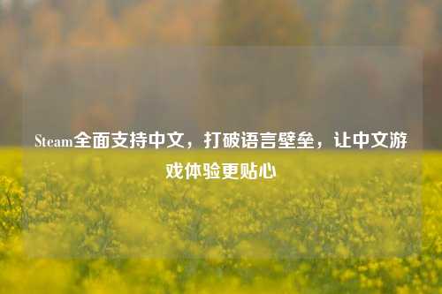 Steam全面支持中文，打破语言壁垒，让中文游戏体验更贴心