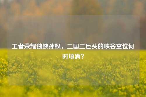 王者荣耀独缺孙权，三国三巨头的峡谷空位何时填满？