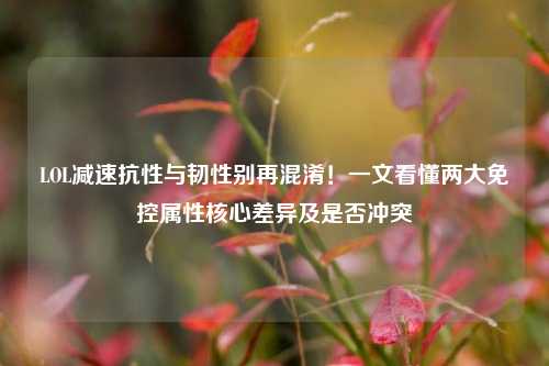 LOL减速抗性与韧性别再混淆!一文看懂两大免控属性核心差异及是否冲突