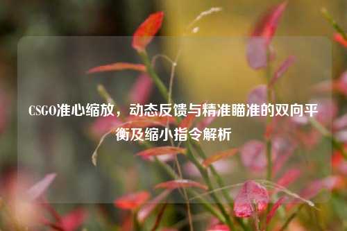 CSGO准心缩放,动态反馈与精准瞄准的双向平衡及缩小指令解析