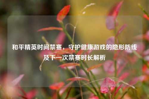 和平精英时间禁赛，守护健康游戏的隐形防线及下一次禁赛时长解析