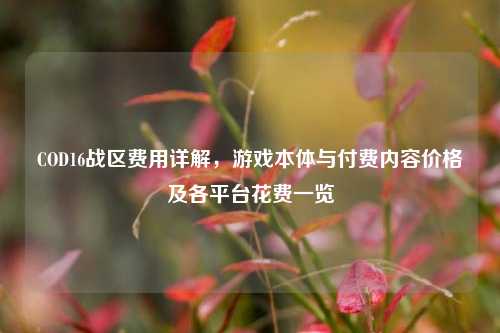 COD16战区费用详解，游戏本体与付费内容价格及各平台花费一览