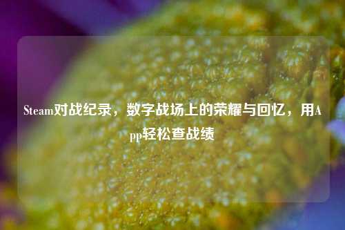 Steam对战纪录,数字战场上的荣耀与回忆,用App轻松查战绩