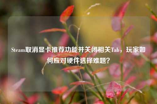 Steam取消显卡推荐功能并关闭相关Tab,玩家如何应对硬件选择难题?