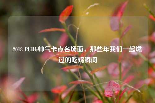 2018 PUBG帅气卡点名场面，那些年我们一起燃过的吃鸡瞬间