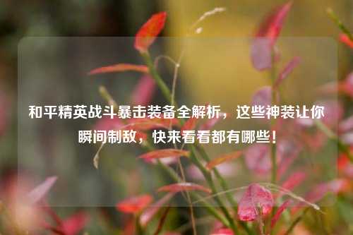 和平精英战斗暴击装备全解析，这些神装让你瞬间制敌，快来看看都有哪些！
