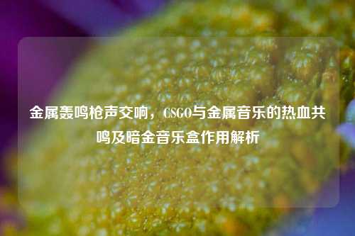 金属轰鸣枪声交响，CSGO与金属音乐的热血共鸣及暗金音乐盒作用解析