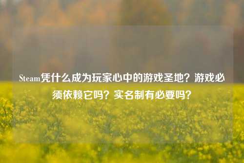 Steam凭什么成为玩家心中的游戏圣地？游戏必须依赖它吗？实名制有必要吗？