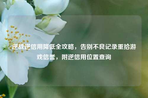 逆战逆信用降低全攻略，告别不良记录重拾游戏信誉，附逆信用位置查询