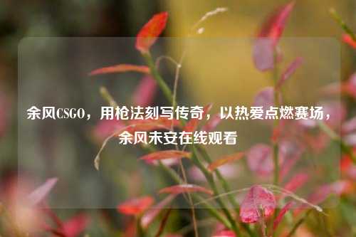 余风CSGO，用枪法刻写传奇，以热爱点燃赛场，余风未安在线观看