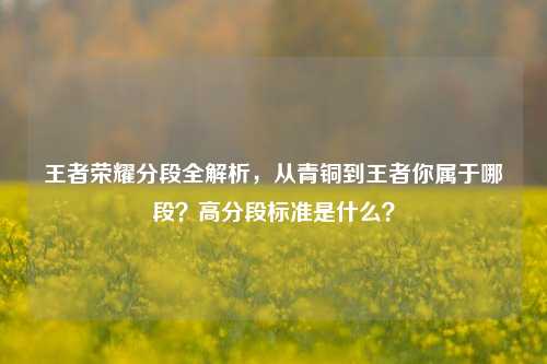 王者荣耀分段全解析，从青铜到王者你属于哪段？高分段标准是什么？