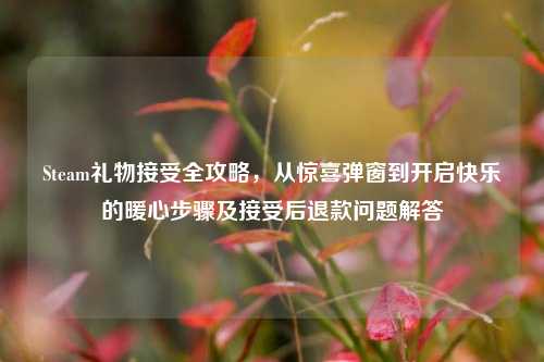 Steam礼物接受全攻略,从惊喜弹窗到开启快乐的暖心步骤及接受后退款问题解答