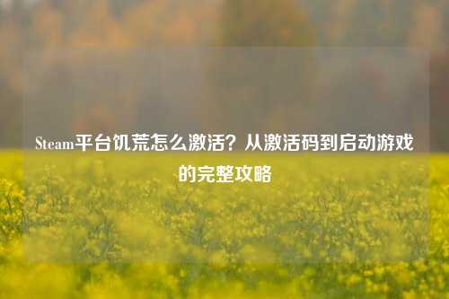 Steam平台饥荒怎么激活?从激活码到启动游戏的完整攻略