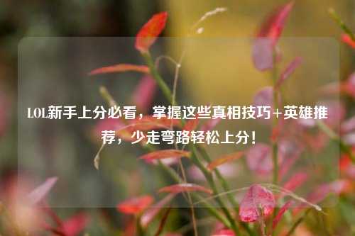 LOL新手上分必看，掌握这些真相技巧+英雄推荐，少走弯路轻松上分！