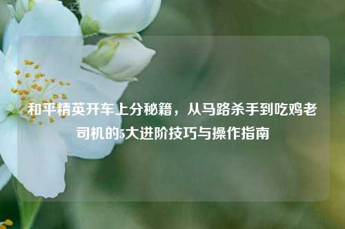 和平精英开车上分秘籍，从马路杀手到吃鸡老司机的5大进阶技巧与操作指南