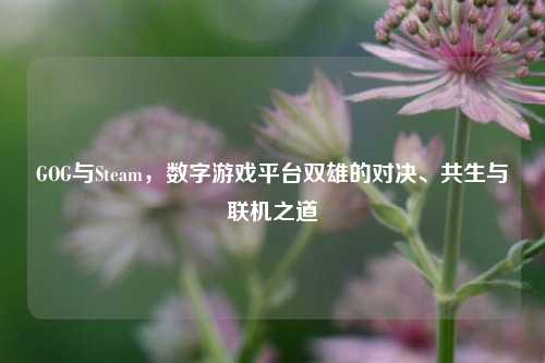 GOG与Steam，数字游戏平台双雄的对决、共生与联机之道