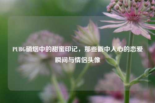 PUBG硝烟中的甜蜜印记，那些戳中人心的恋爱瞬间与情侣头像