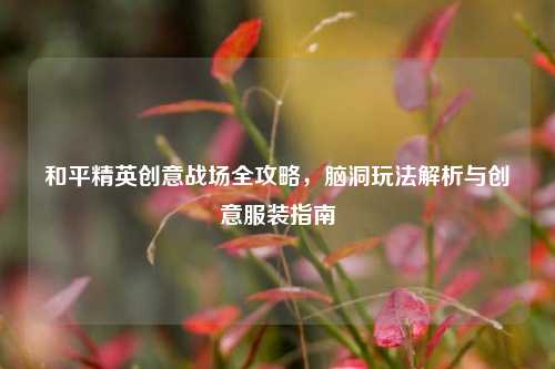 和平精英创意战场全攻略，脑洞玩法解析与创意服装指南