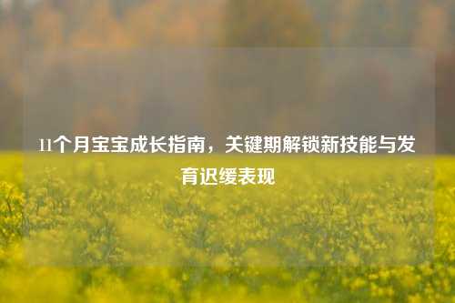 11个月宝宝成长指南，关键期解锁新技能与发育迟缓表现