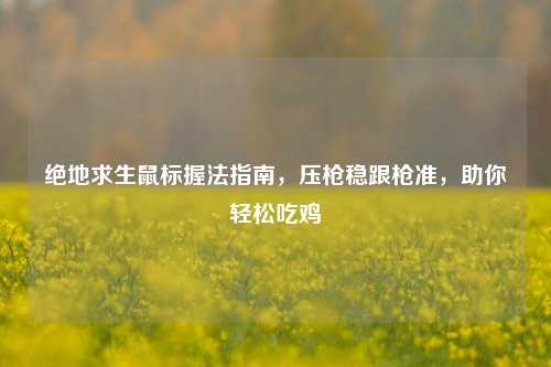 绝地求生鼠标握法指南，压枪稳跟枪准，助你轻松吃鸡