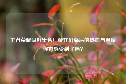 王者荣耀同好集合！藏在屏幕后的热血与温暖你也感受到了吗？
