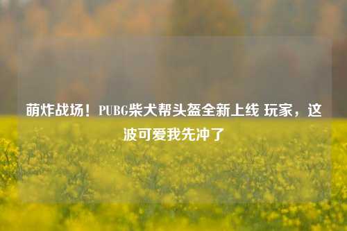 萌炸战场！PUBG柴犬帮头盔全新上线 玩家，这波可爱我先冲了