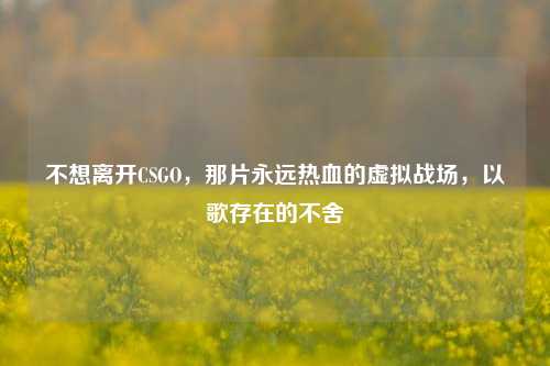 不想离开CSGO,那片永远热血的虚拟战场,以歌存在的不舍