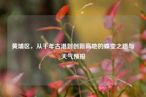 黄埔区,从千年古港到创新高地的蝶变之路与天气预报