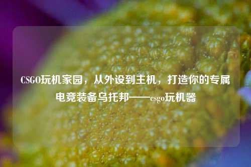 CSGO玩机家园，从外设到主机，打造你的专属电竞装备乌托邦——csgo玩机器