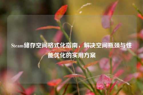 Steam储存空间格式化指南,解决空间瓶颈与性能优化的实用方案