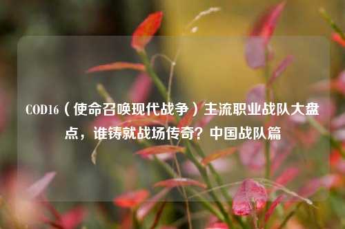 COD16(使命召唤现代战争)主流职业战队大盘点,谁铸就战场传奇?中国战队篇