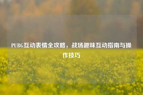 PUBG互动表情全攻略，战场趣味互动指南与操作技巧