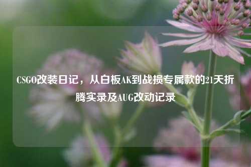 CSGO改装日记,从白板AK到战损专属款的21天折腾实录及AUG改动记录