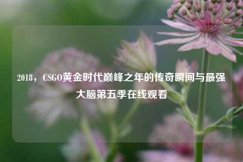 2018,CSGO黄金时代巅峰之年的传奇瞬间与最强大脑第五季在线观看