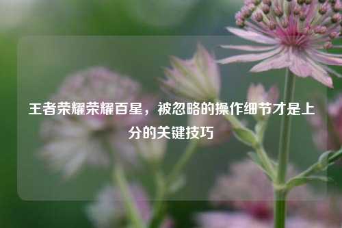 王者荣耀荣耀百星，被忽略的操作细节才是上分的关键技巧
