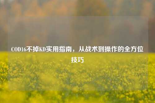 COD16不掉KD实用指南，从战术到操作的全方位技巧