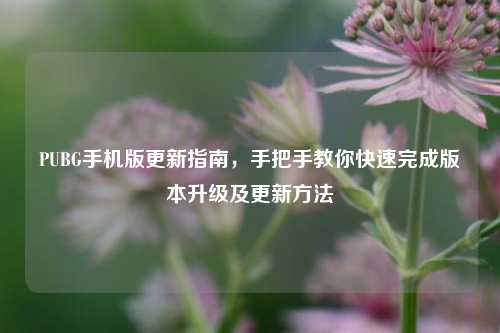 PUBG手机版更新指南,手把手教你快速完成版本升级及更新方法