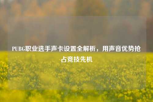PUBG职业选手声卡设置全解析，用声音优势抢占竞技先机