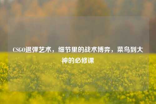 CSGO退弹艺术,细节里的战术博弈,菜鸟到大神的必修课