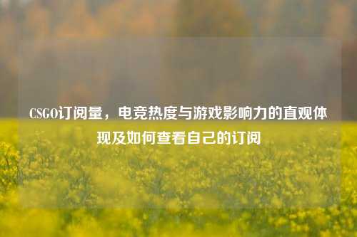 CSGO订阅量,电竞热度与游戏影响力的直观体现及如何查看自己的订阅