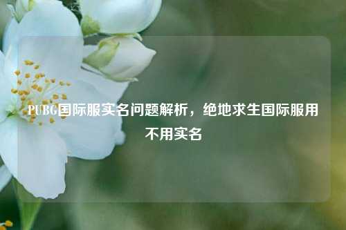 PUBG国际服实名问题解析,绝地求生国际服用不用实名